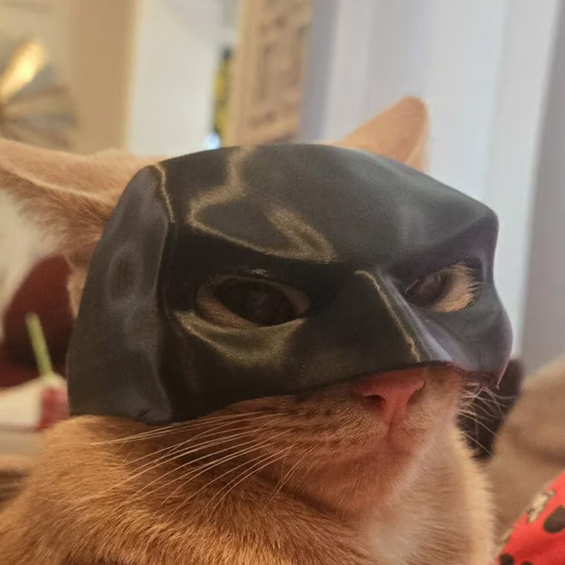 Bat Cat Avenger Mask