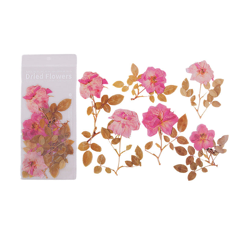 Dried Flowers Stickers Set