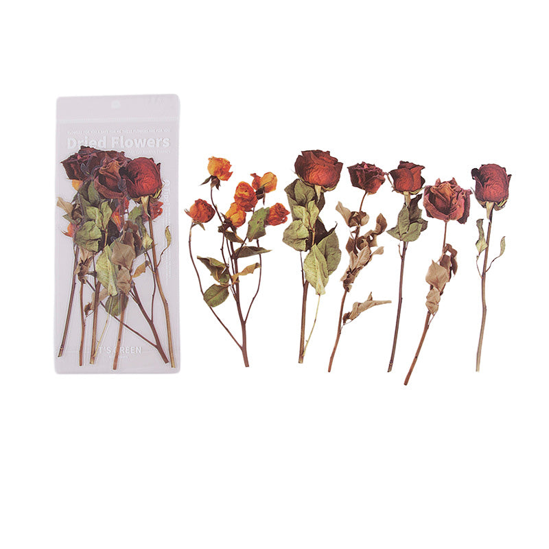 Dried Flowers Stickers Set