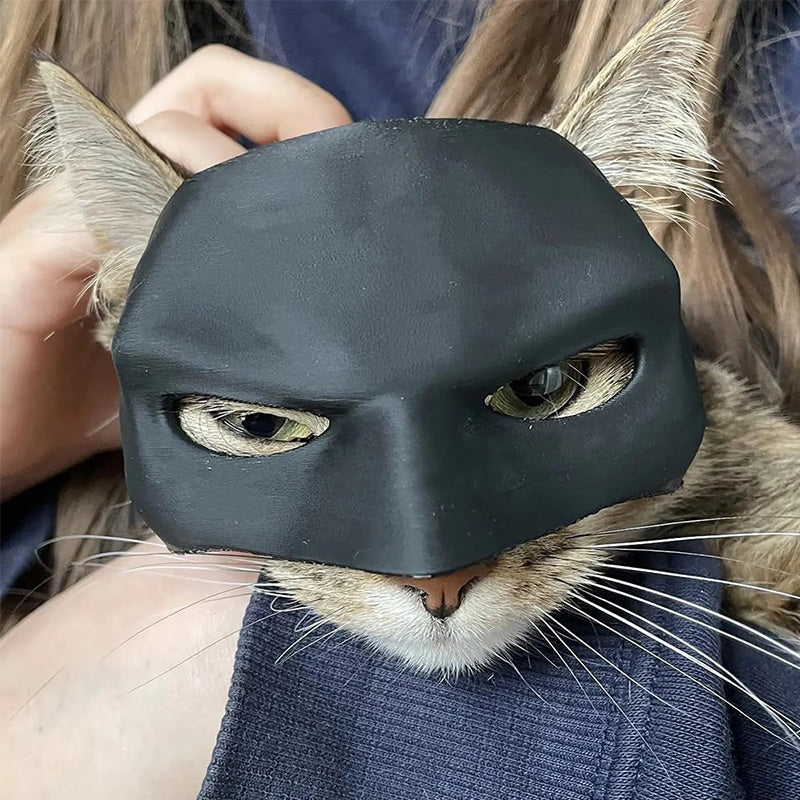 Bat Cat Avenger Mask