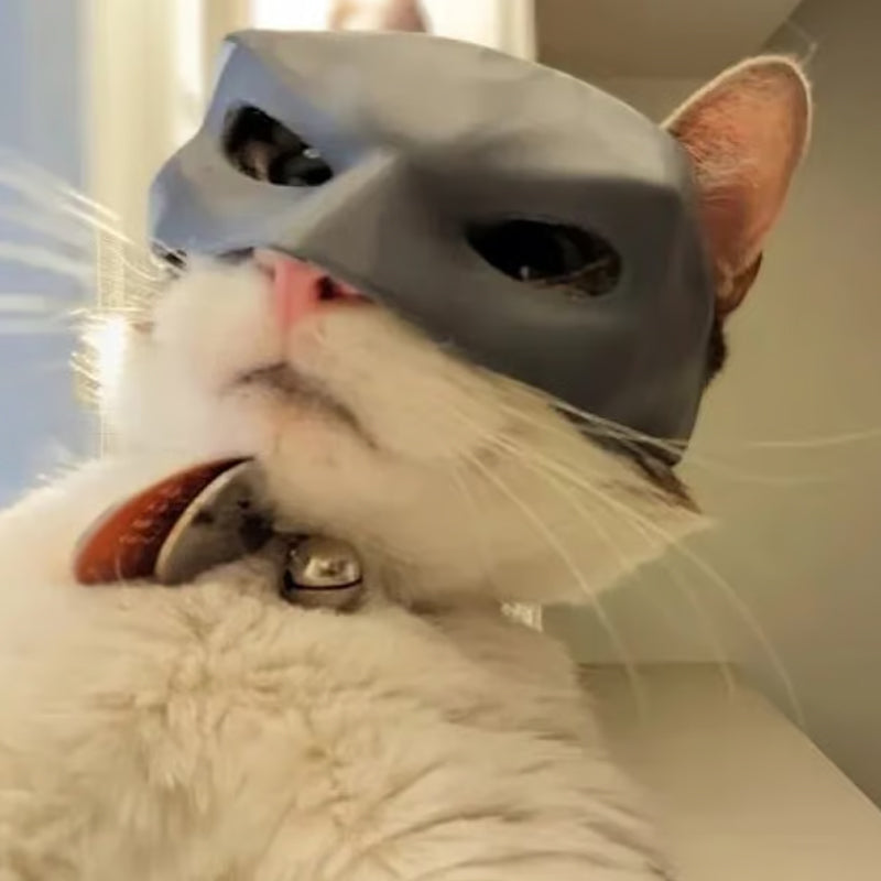 Bat Cat Avenger Mask