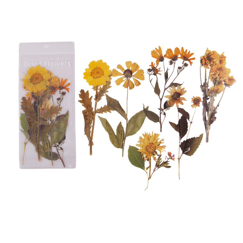 Dried Flowers Stickers Set