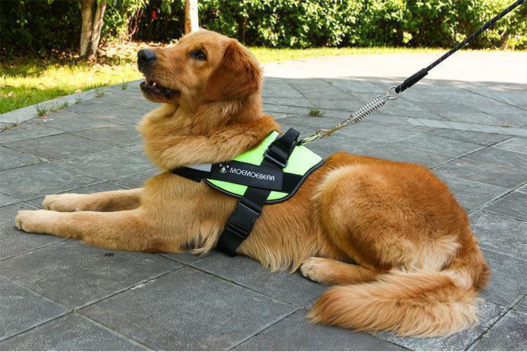 Reflective all-in-one Anti-Pull Dog Harness