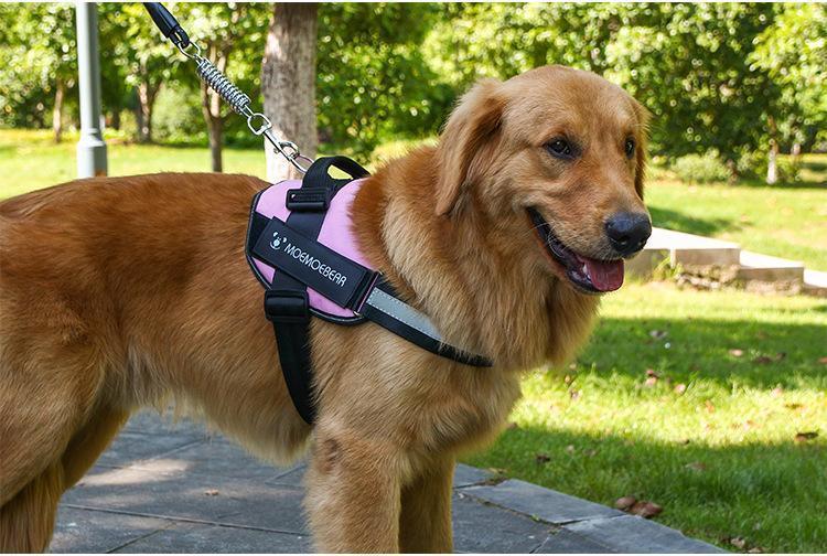 Reflective all-in-one Anti-Pull Dog Harness