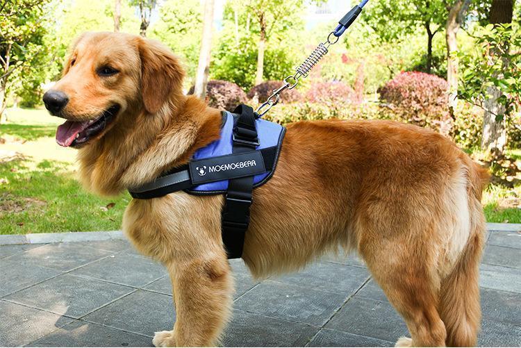 Reflective all-in-one Anti-Pull Dog Harness