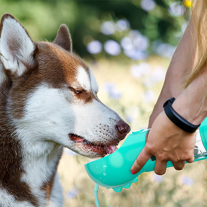 Multifunctional Pet Water Bottle