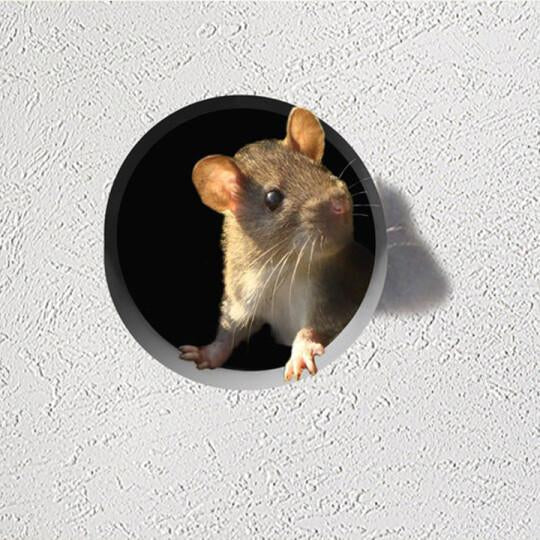 Fanshome™Realistic 3D Mouse Hole Wall Stickers