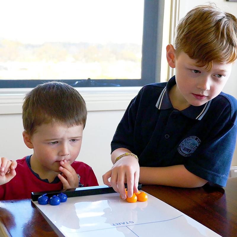 Tabletop Curling Game