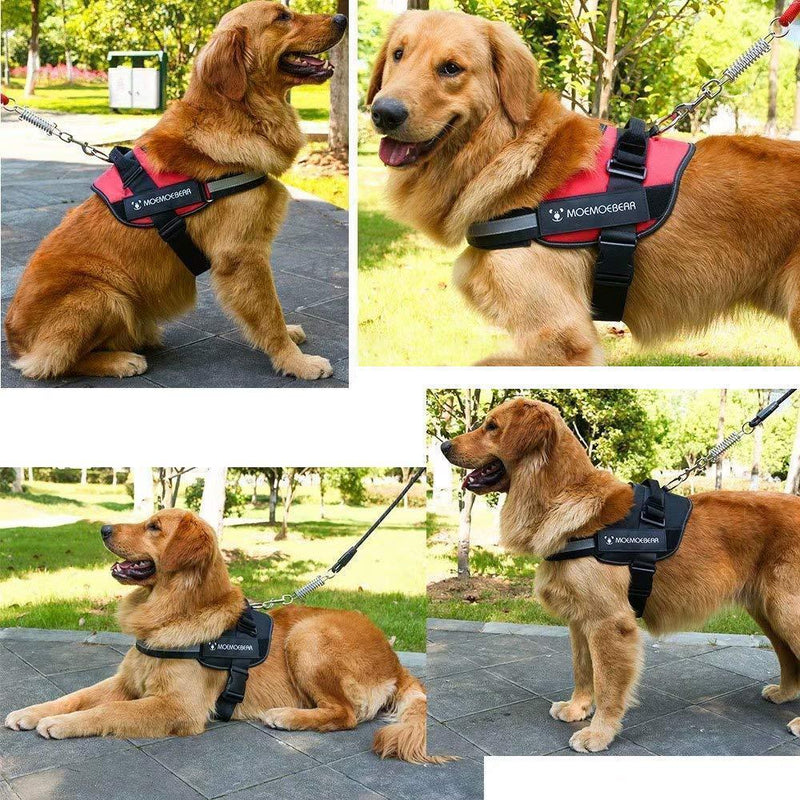 Reflective all-in-one Anti-Pull Dog Harness